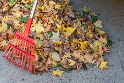Een te nette tuin overleeft de winter minder goed